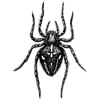 humble_spider profile image