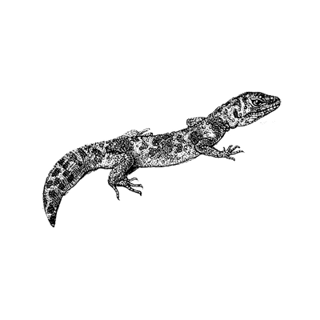 milk_man profile picture